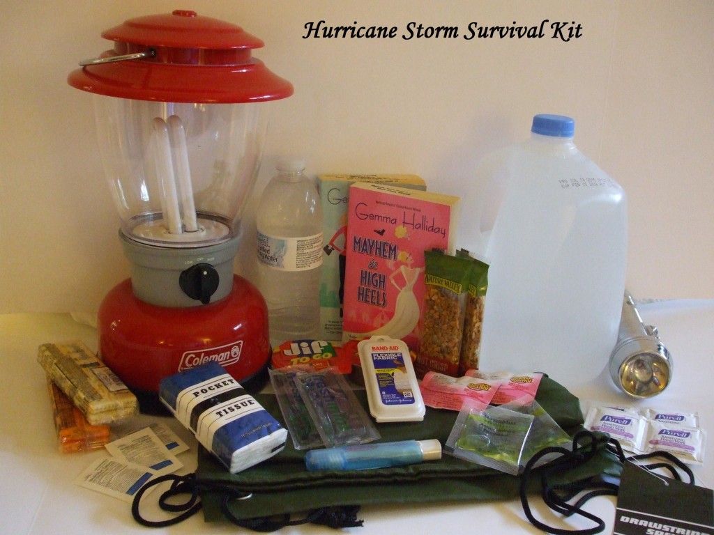 Hurricane Storm Survival Kit